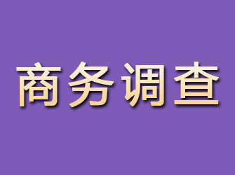 鄄城商务调查